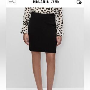 Melanie Lyne pull on knit skirt